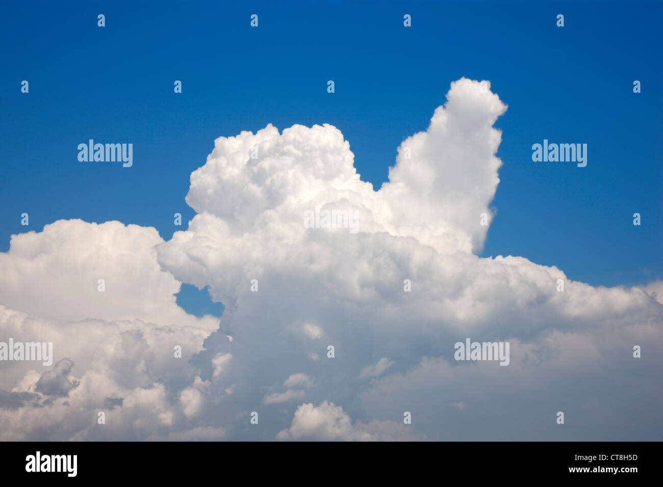 Cumulus - Wolken Stockfoto