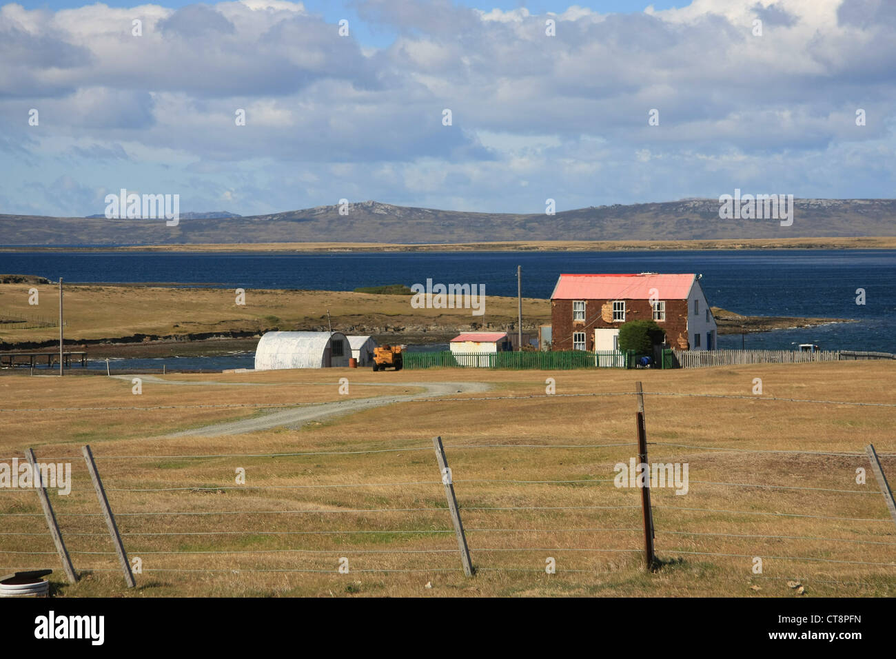 Johnsons Hafen, East Falkland Island Stockfoto