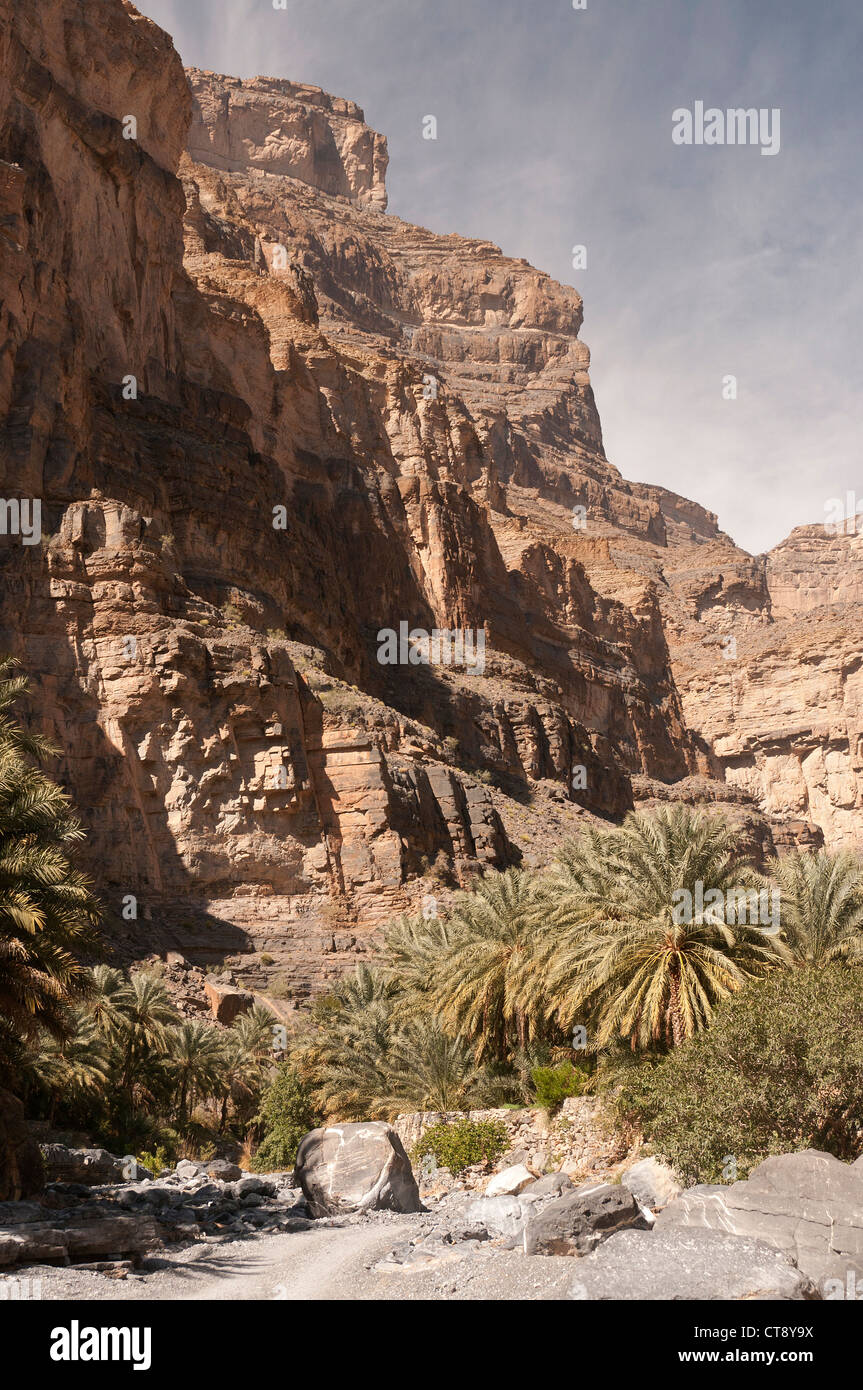 Elk207-2698v Oman, Wadi Nakhur, Canyon-Landschaft Stockfoto