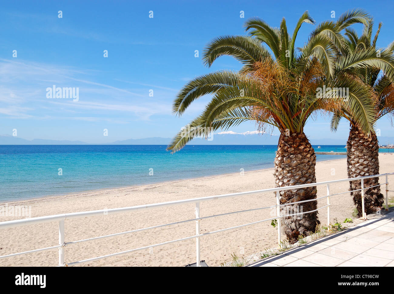 Strand mit Palmen und Olymp auf Hintergrund, Chalkidiki, Griechenland Stockfoto