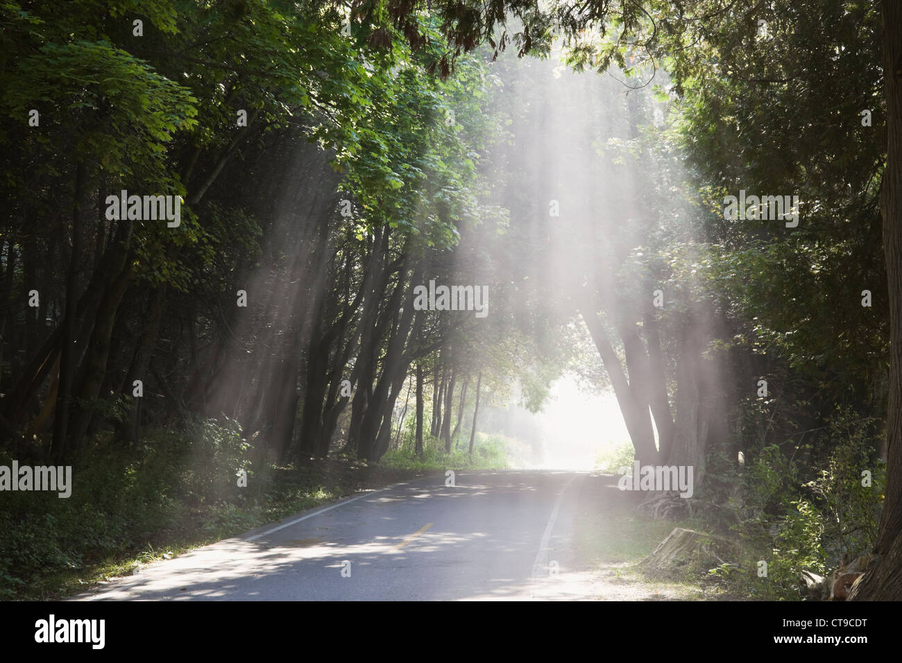 Bike-Route rund um Mackinac Island Stockfoto