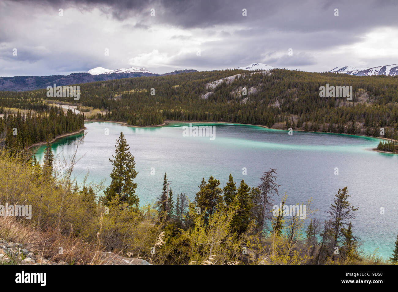 Emerald Lake im Yukon Territory, Kanada. Stockfoto