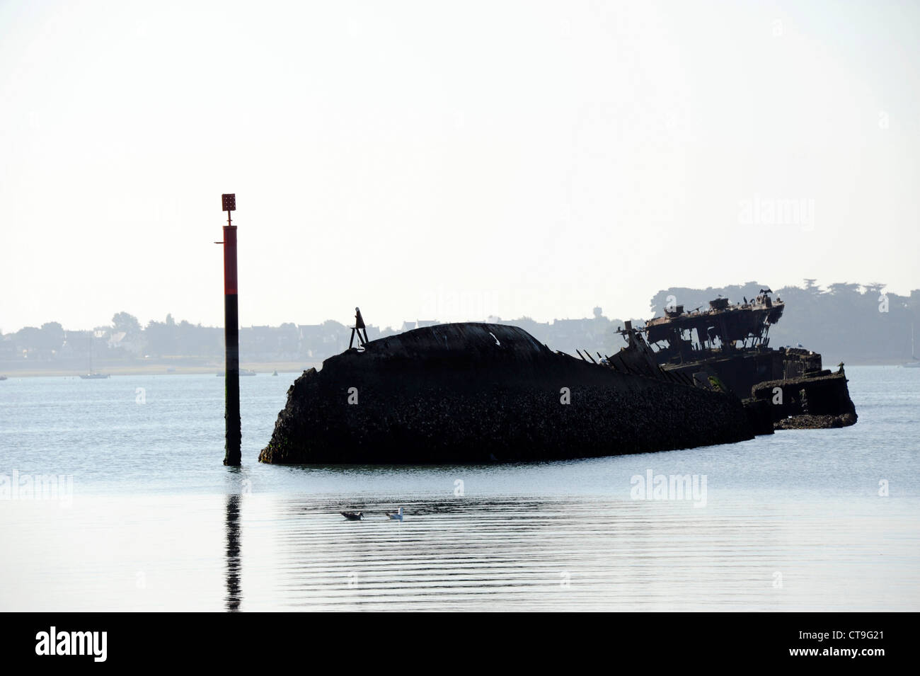 Le crapaud und das regensburg wrack Fotos und Bildmaterial in hoher