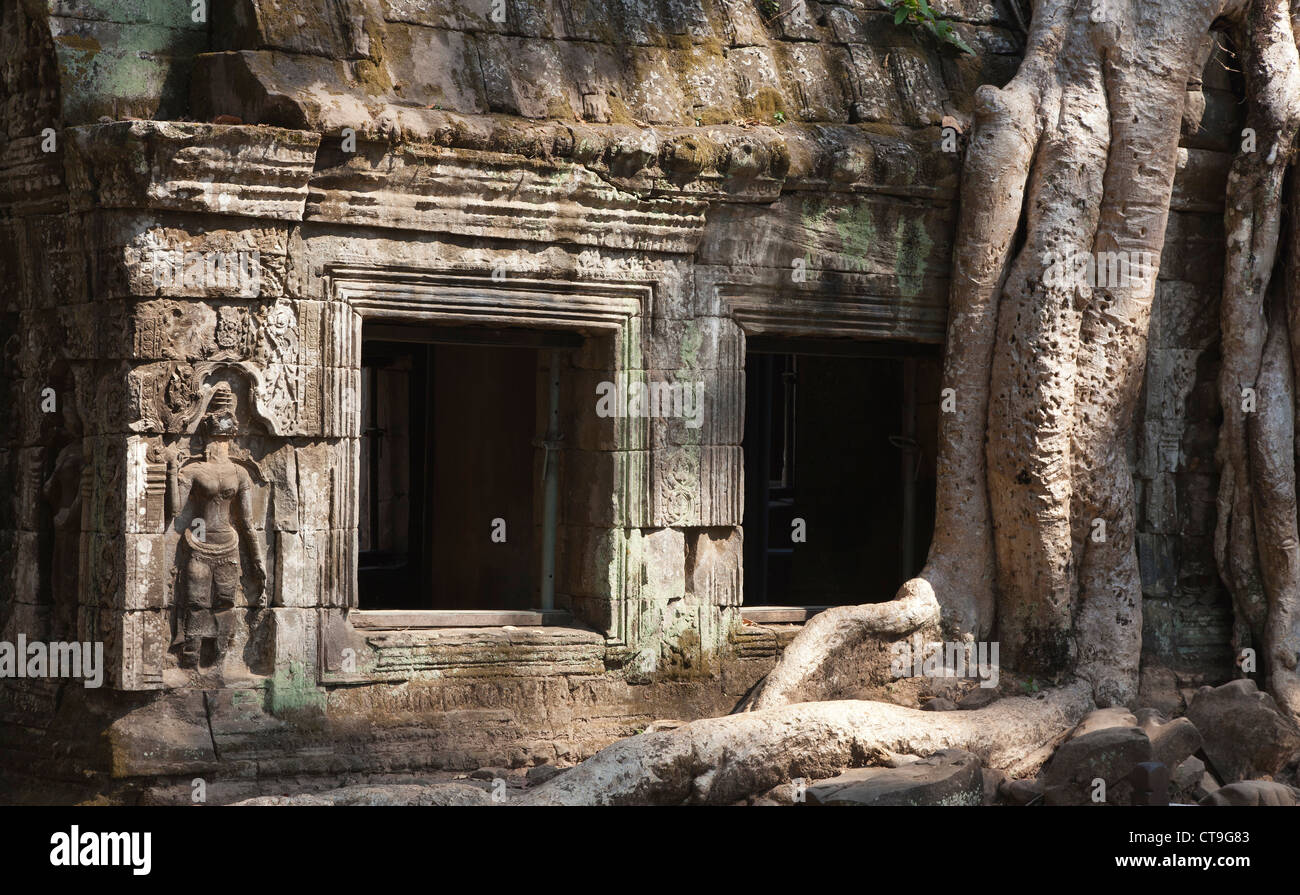 Tempel-Ruinen, Ta Prohm, Tür mit verwilderten Baum Wurzeln, Angkor, Provinz Siem Reap, Kambodscha Stockfoto