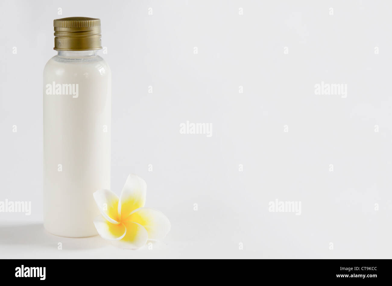 weiße Flasche und frischen Frangipani, freien Speicherplatz auf weißem Hintergrund für text Stockfoto