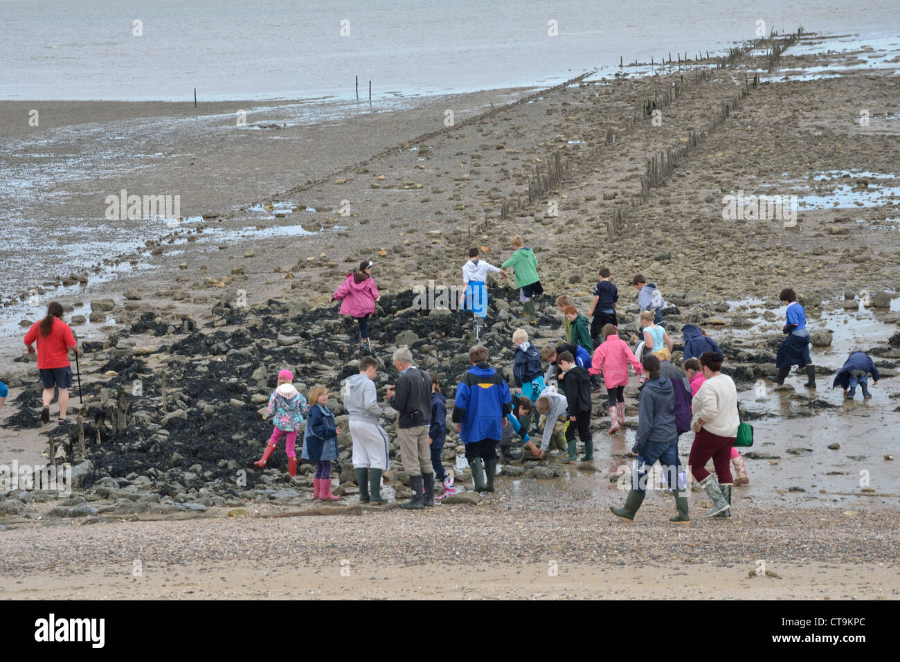 Große Gruppe von Menschen am Strand von Muddy Stockfoto