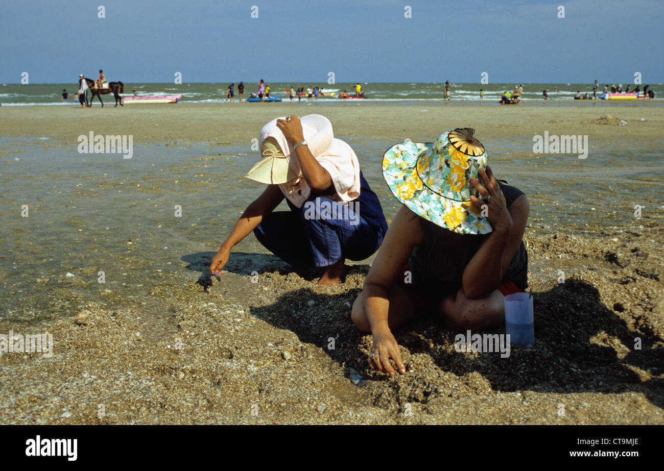 Zwei Frauen auf der Suche nach Muscheln am Strand Stockfoto
