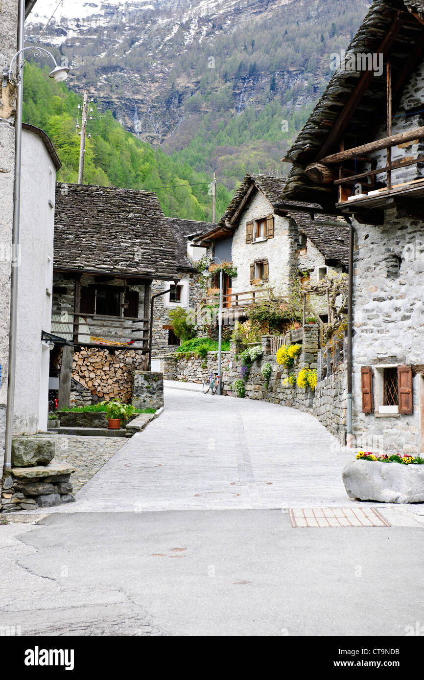 Milchviehhaltung, Vieh weidete in den Almen jetzt Tourismus, Sonogno, Val Verzasca, Verzascatal, Schweiz, Europa Stockfoto