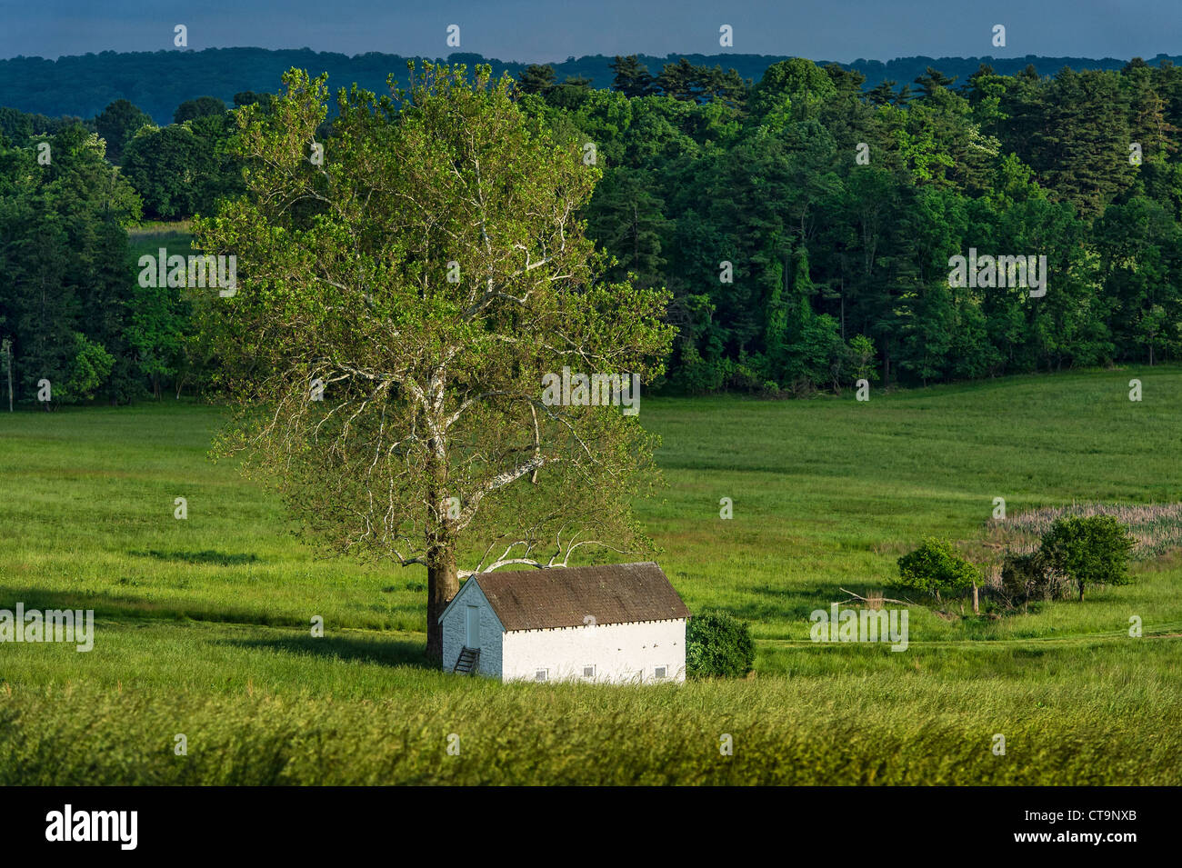 Ländliche Quellenhaus in üppigen pastorale Landschaft, Chester County, Pennsylvania, USA Stockfoto