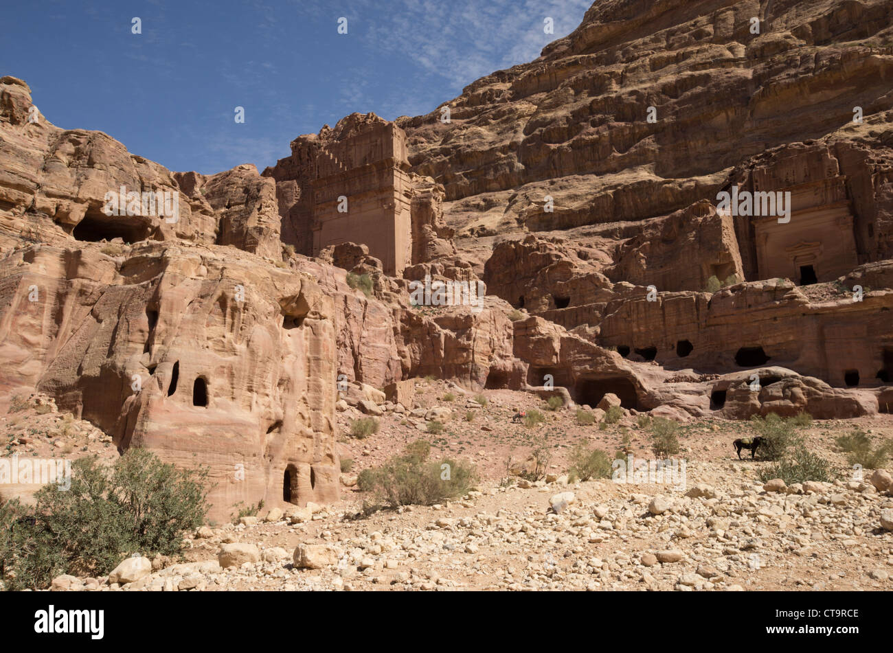 Rock-Häuser in der Nähe von Petra Jordanien mit einem Esel Stockfoto