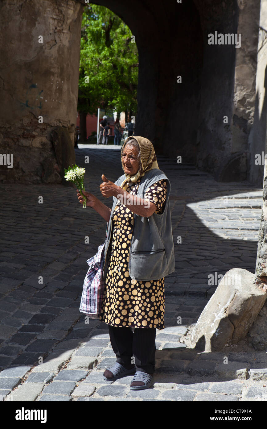 Eine Roma-Frau in einer Straße von Sighisoara, Karpaten Siebenbürgens, Târnava Mare Fluss Mureş Grafschaft, Rumänien, Osteuropa, Stockfoto