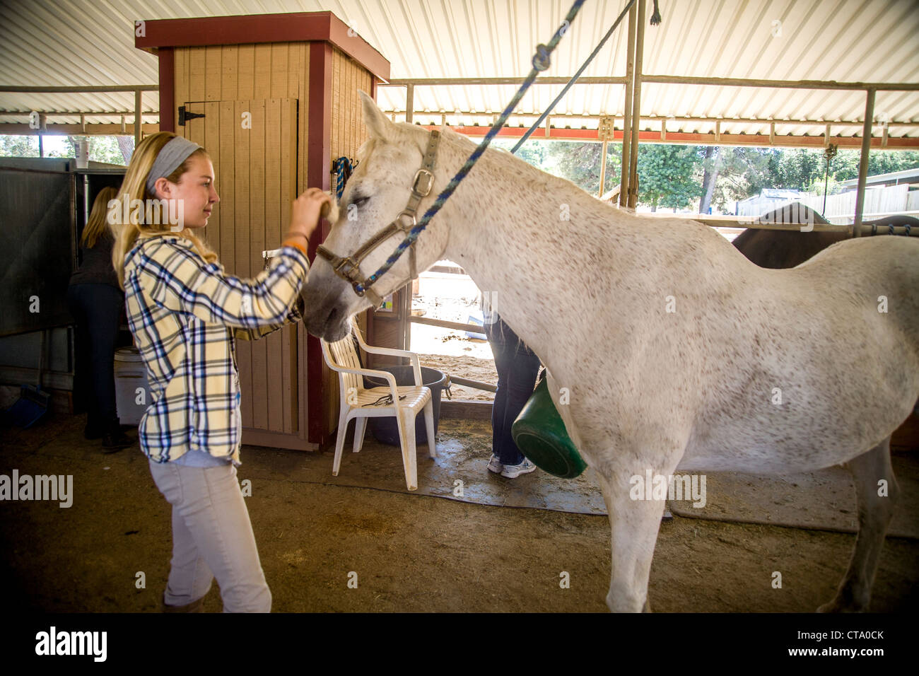 Mitglied im 4-H Club Teen Mädchen kümmert sich um ihr Pferd in einen REIT Stall in Coto de Caza, CA. Stockfoto