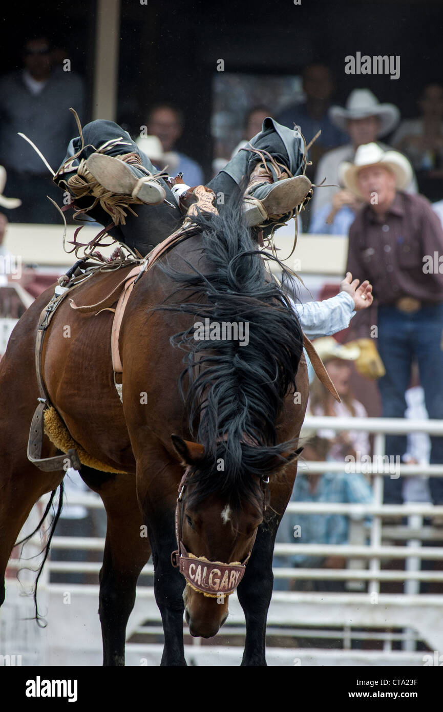 Bareback Event bei der Calgary Stampede Rodeo Stockfoto