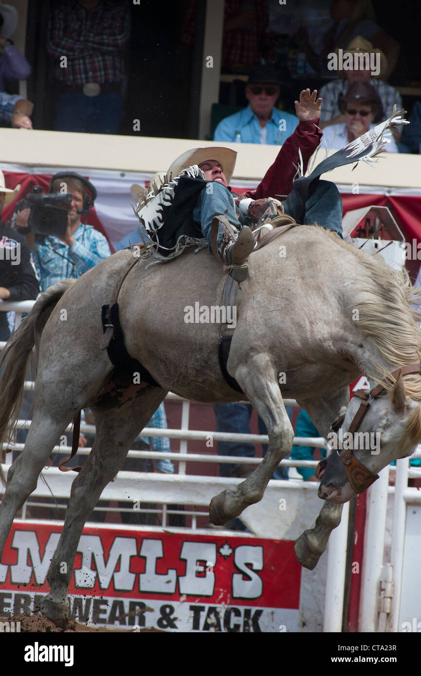 Bareback Event bei der Calgary Stampede Rodeo Stockfoto