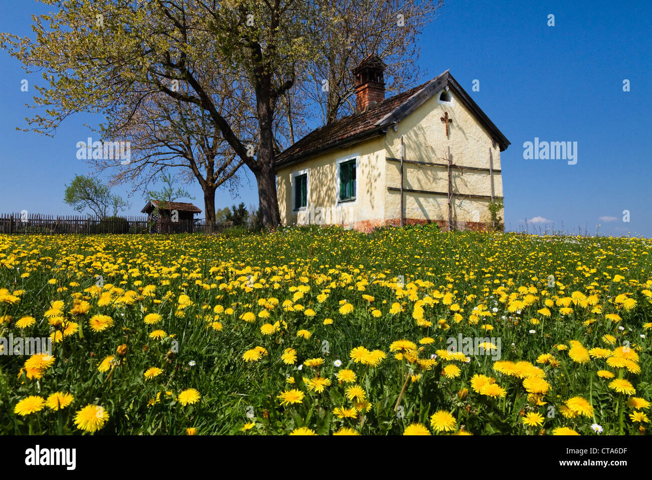 Kapelle auf einer Wiese mit Löwenzahn im Frühling, Obersochering, Oberbayern, Deutschland Stockfoto