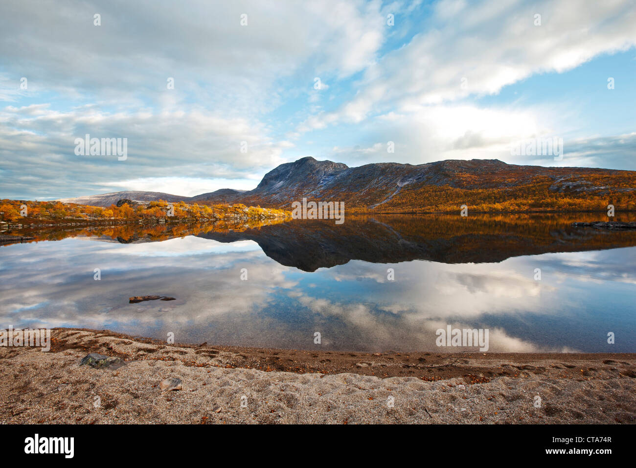 Felsige Landschaft mit Birken nördlich des Polarkreises, Saltdal, Junkerdal Nationalpark trekking Tour im Herbst, Fjell, Stockfoto
