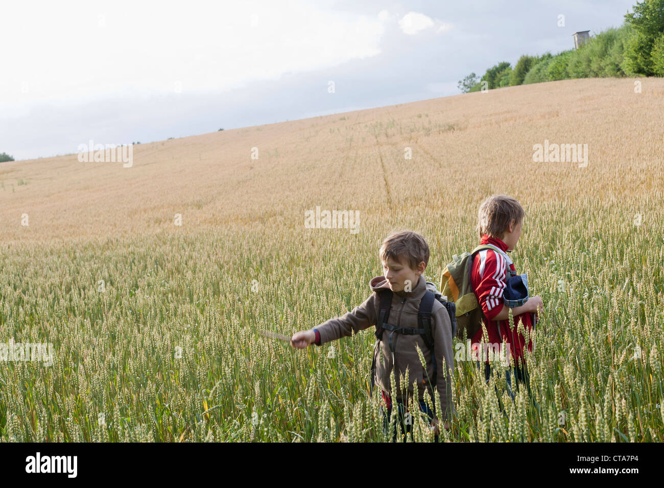 Zwei jungen im Getreidefeld, Lankau, Schleswig-Holstein, Deutschland Stockfoto