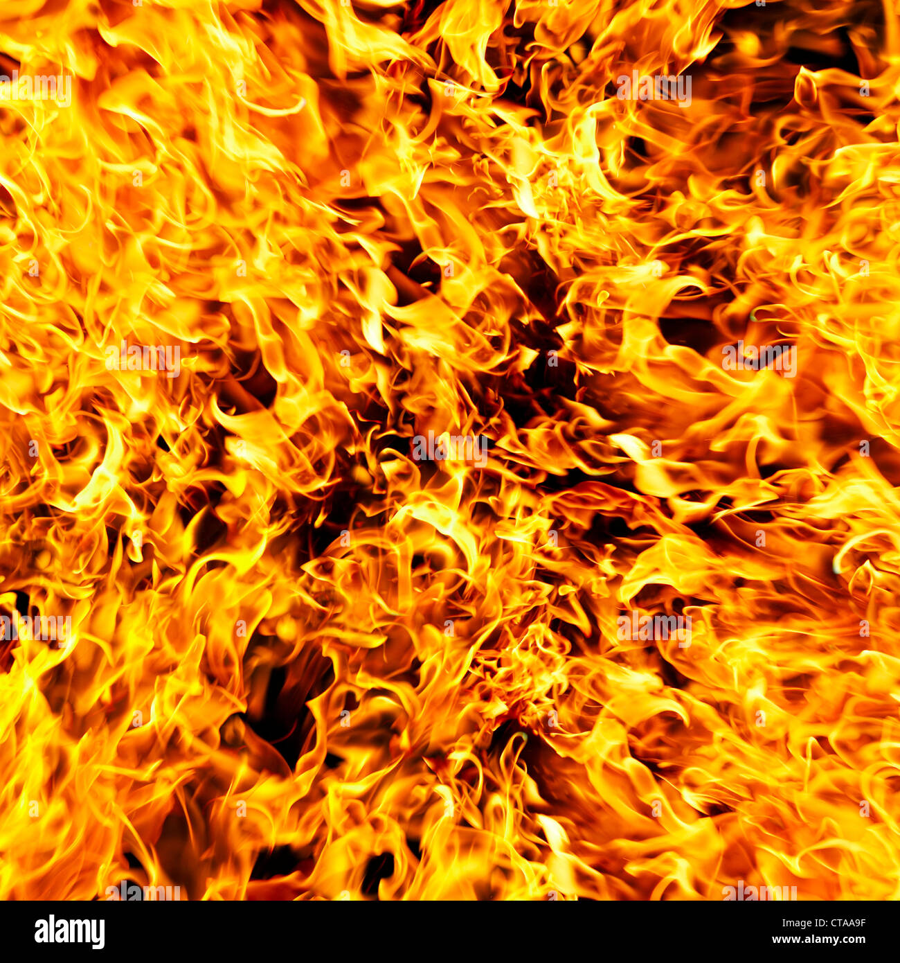 Feuer-Foto auf einem schwarzen Hintergrund... Stockfoto