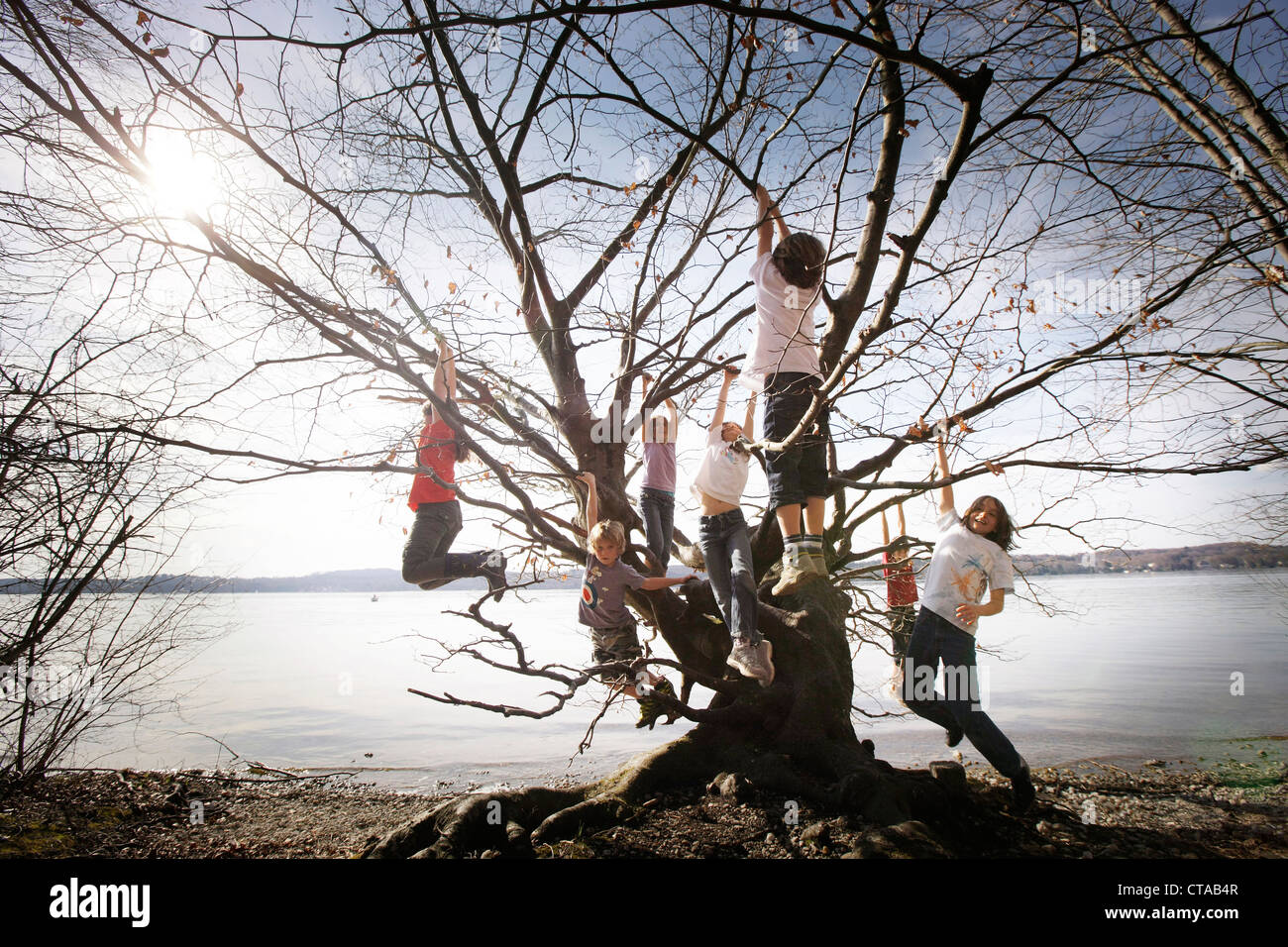 Kinder spielen an der Seepromenade, Kletterbaum, erdet Leoni Burg, Leoni, Berg, Starnberger See, Bayern, Deutschland Stockfoto