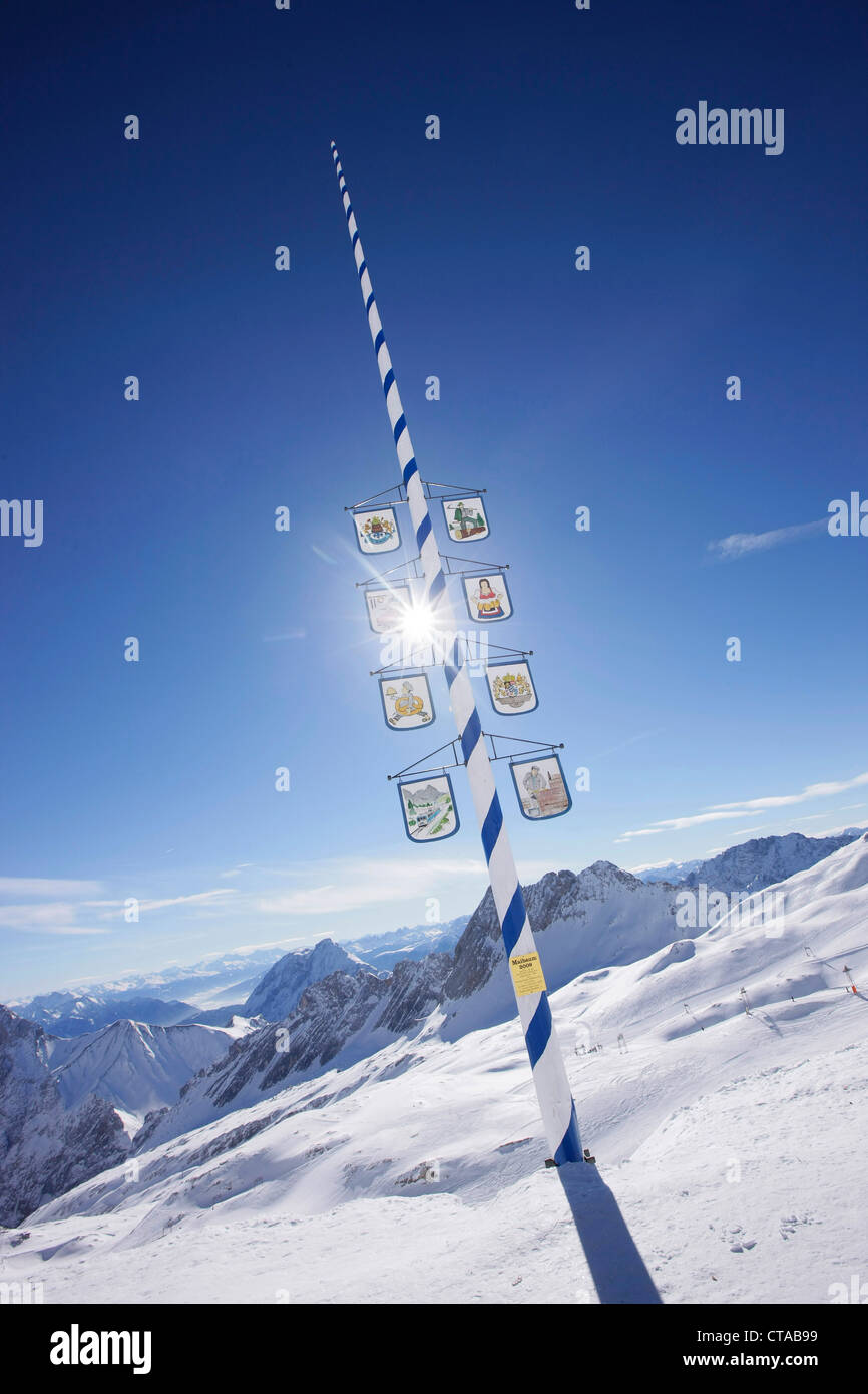 Mai-Baum am Sonnalpin, Blick auf dem Zugspitzplateau, Zugspitze, Bayern, Deutschland Stockfoto