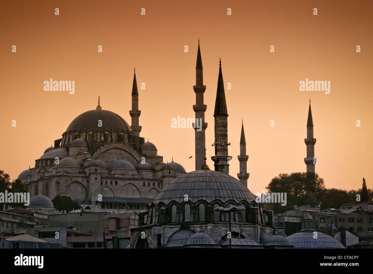 Süleymaniye-Moschee bei Sonnenuntergang, Goldenes Horn, Istanbul, Türkei, Moschee, Europa Stockfoto