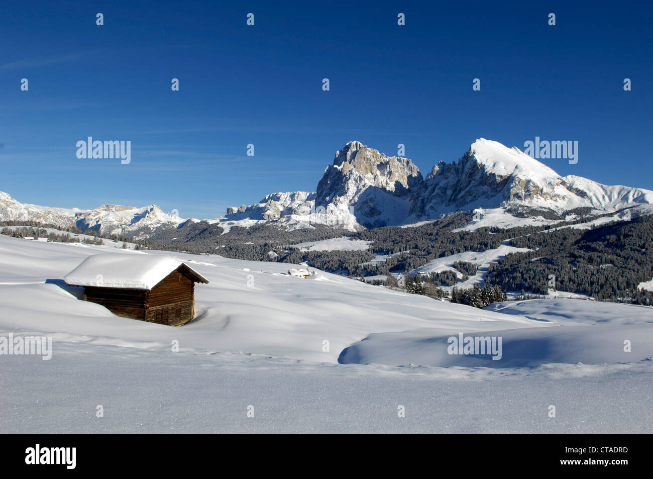 Holzhütte mit Schnee bedeckt, Plattkofels, Seiser Alm, Valle Isarco, Südtirol, Trentino-Alto Adige, Italien Stockfoto