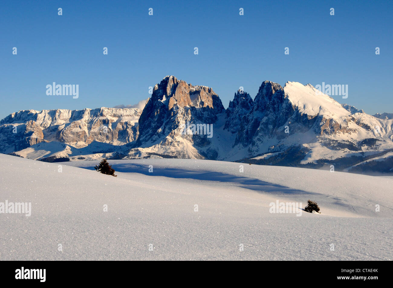 Langkofel, Langkofel massiv Plattkofels, Plattkofels alpinen Weiden Puflatsch, Alpe di Siusi, Eisacktal, UNESCO Welt natürlichen Stockfoto
