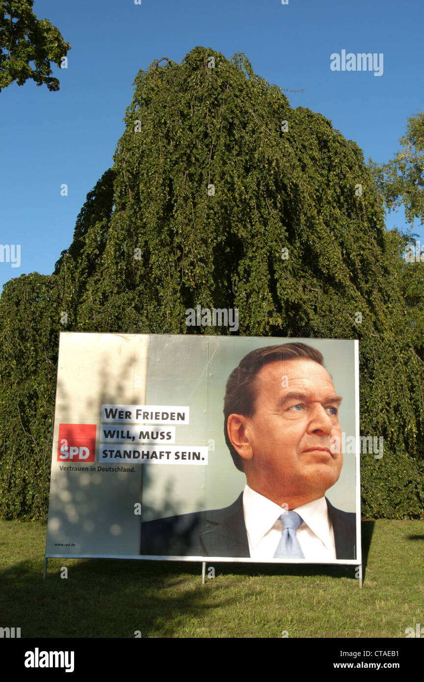 SPD-Wahlplakat mit Portrait von Gerhard Schröder Stockfoto