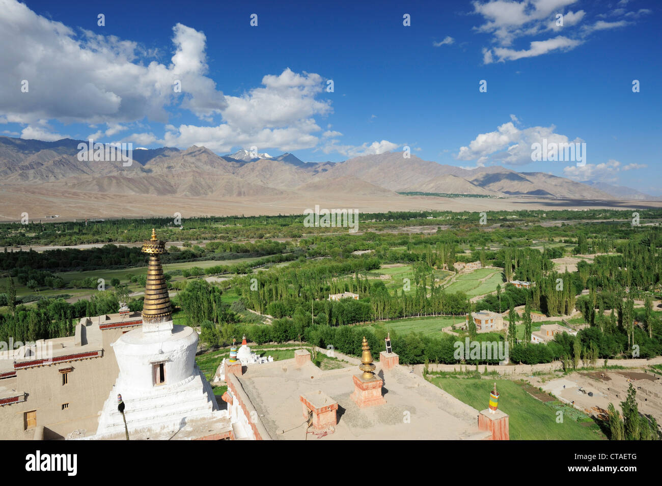 Stupa mit Blick auf das Tal des Indus, Kloster Shey, Leh, Tal des Indus, Ladakh, Jammu und Kaschmir, Indien Stockfoto