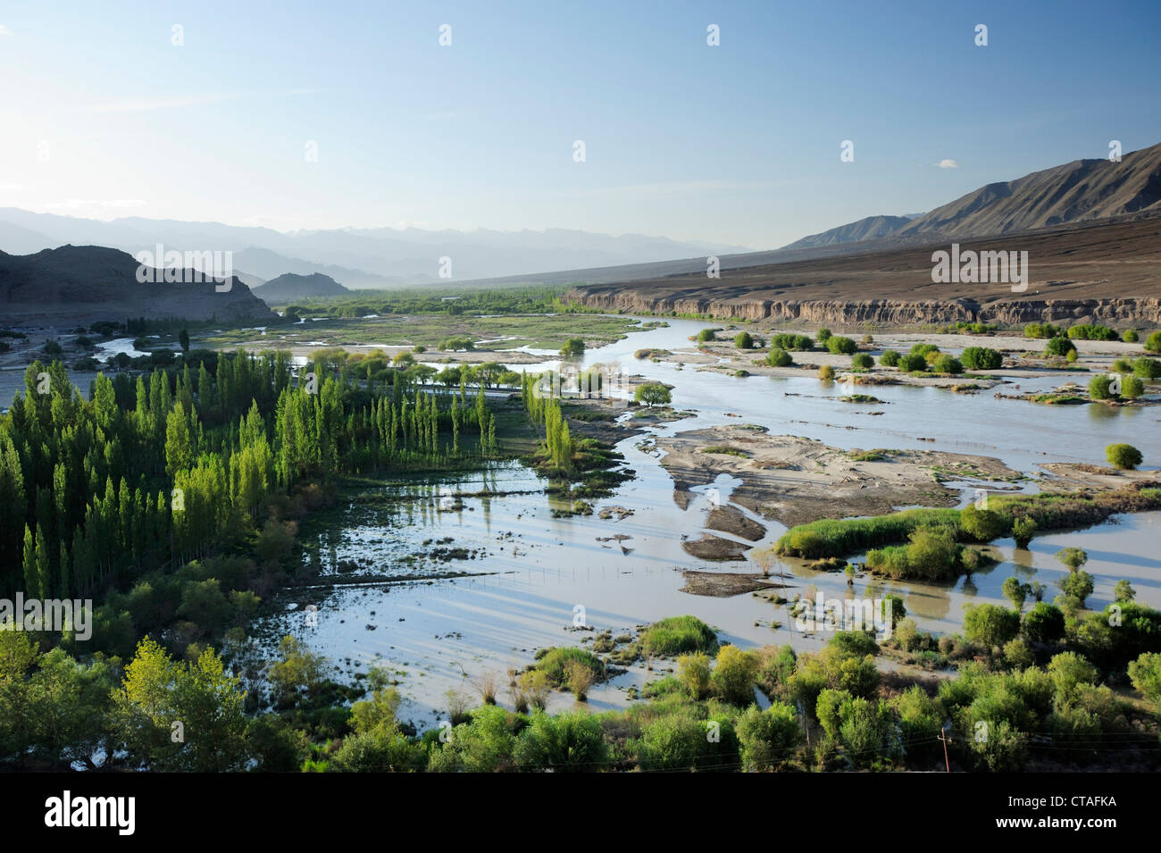 Marsh Land im Tal des Indus in der Nähe von Leh, Leh, Tal des Indus, Ladakh, Jammu und Kaschmir, Indien Stockfoto