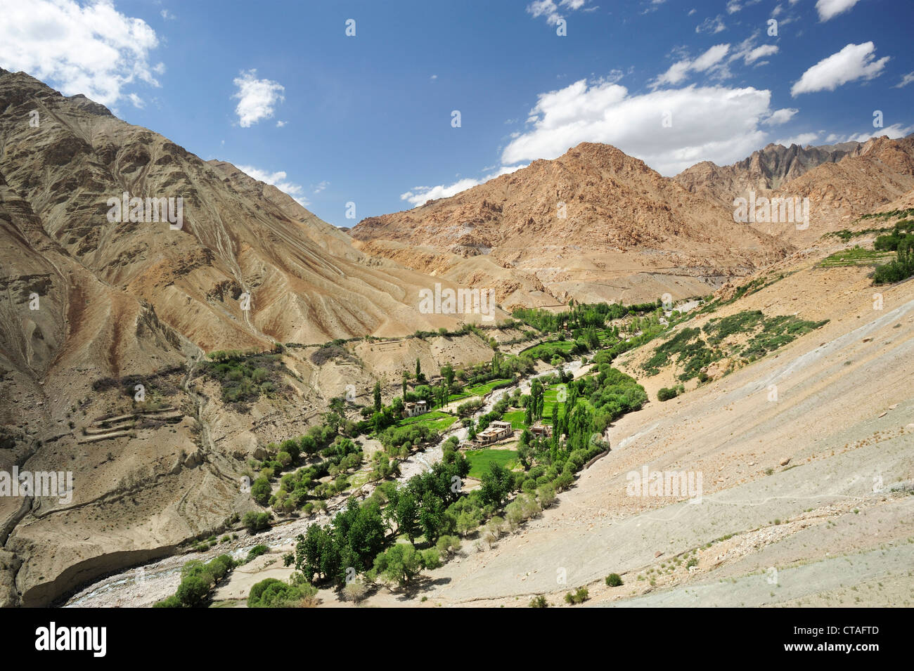 Blick auf Fluss-Wasser-Oase, Dorf Yangtang, trekking vom Kloster Likir nach Yangtang, Ladakh, Jammu und Kaschmir, Indien Stockfoto