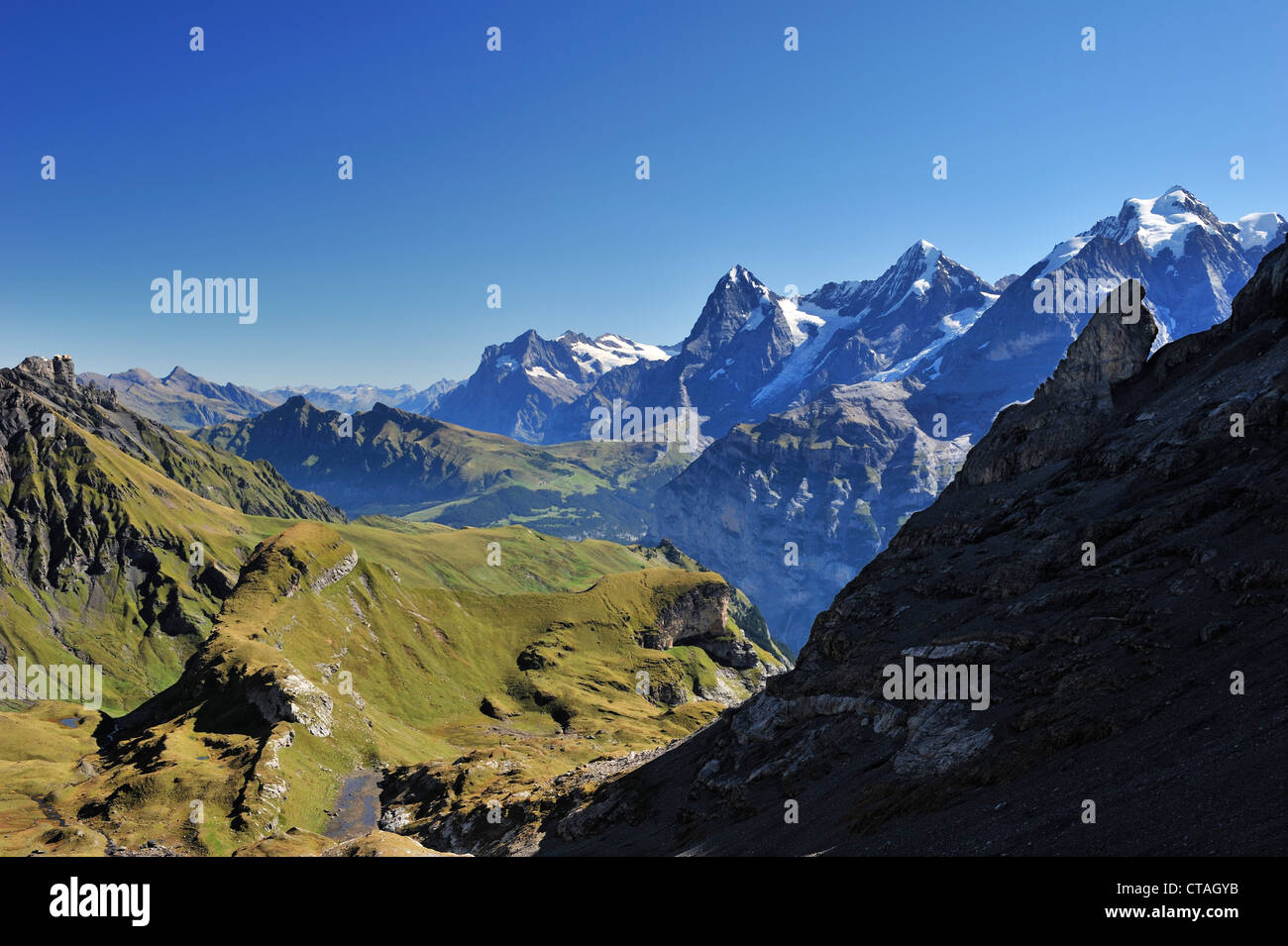 Wetterhorn, Eiger, Mönch und Jungfrau, Sefinenfurgge, UNESCO World Heritage Site Jungfrau-Aletsch Schutzgebiet, Berner Oberl Stockfoto