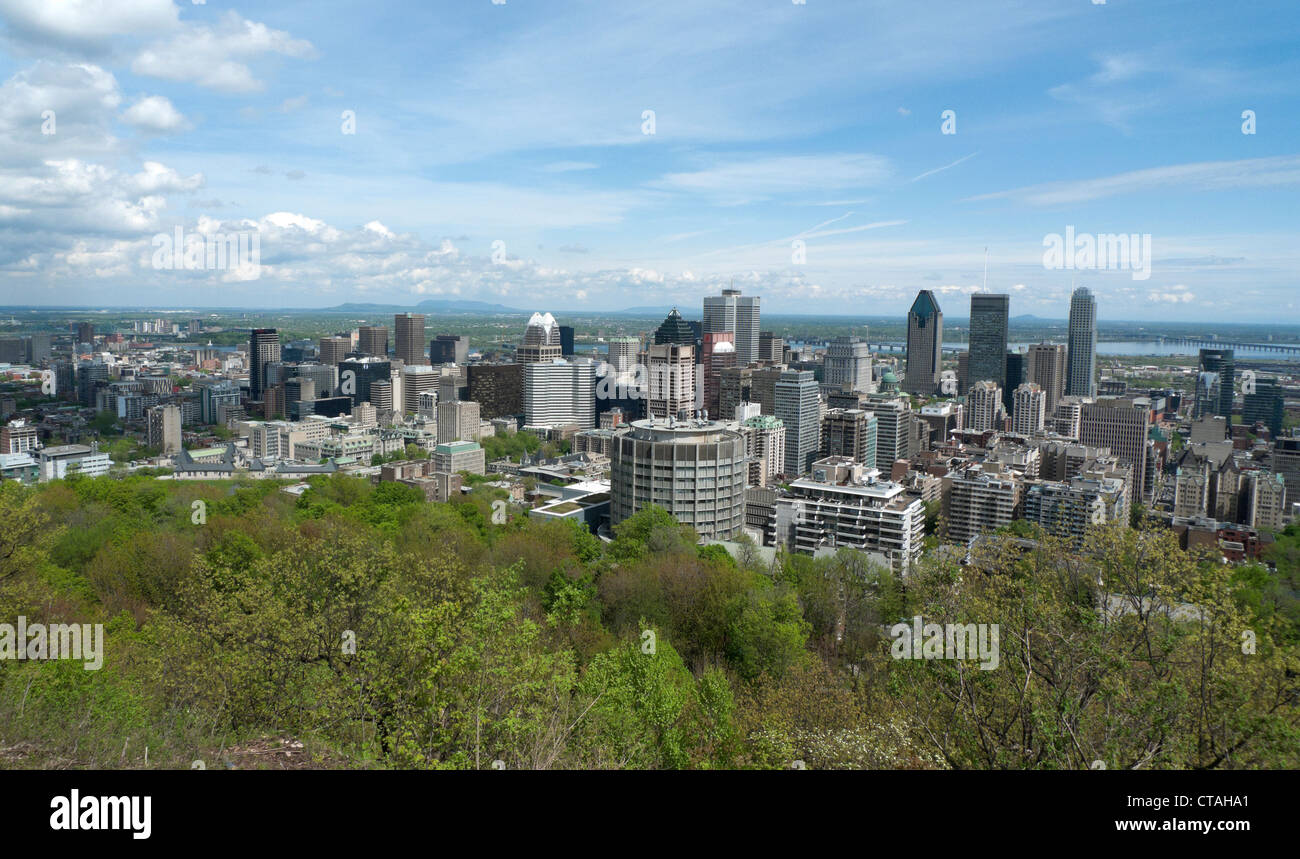 Ansicht der Stadt von Montrea Skylinel unter dem Frühling Laub der Mount Royal Park Montreal Quebec Kanada KATHY DEWITT Stockfoto