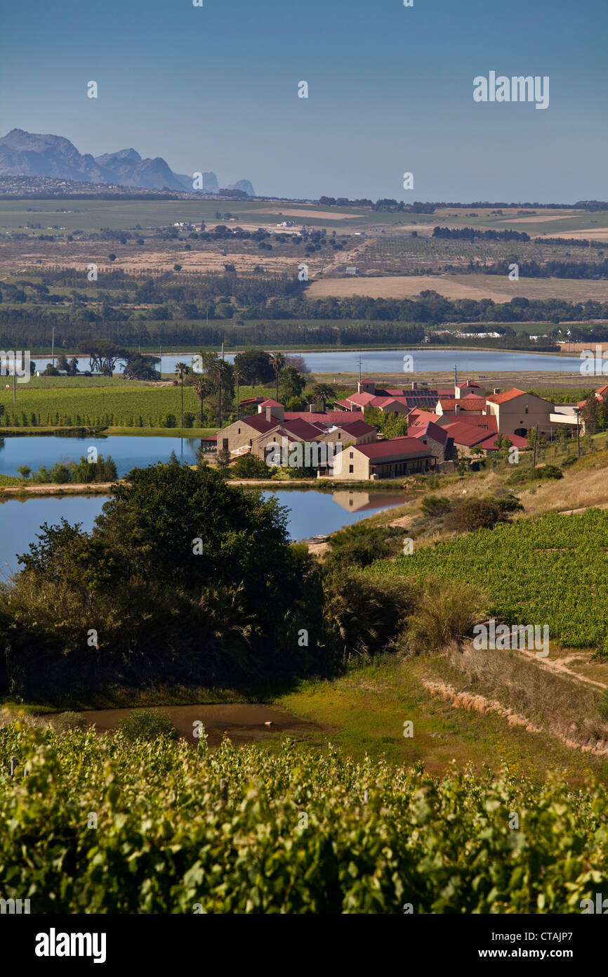 Blick auf die Weinberge von Asara Wine Estate, Stellenbosch, Western Cape, Südafrika Stockfoto