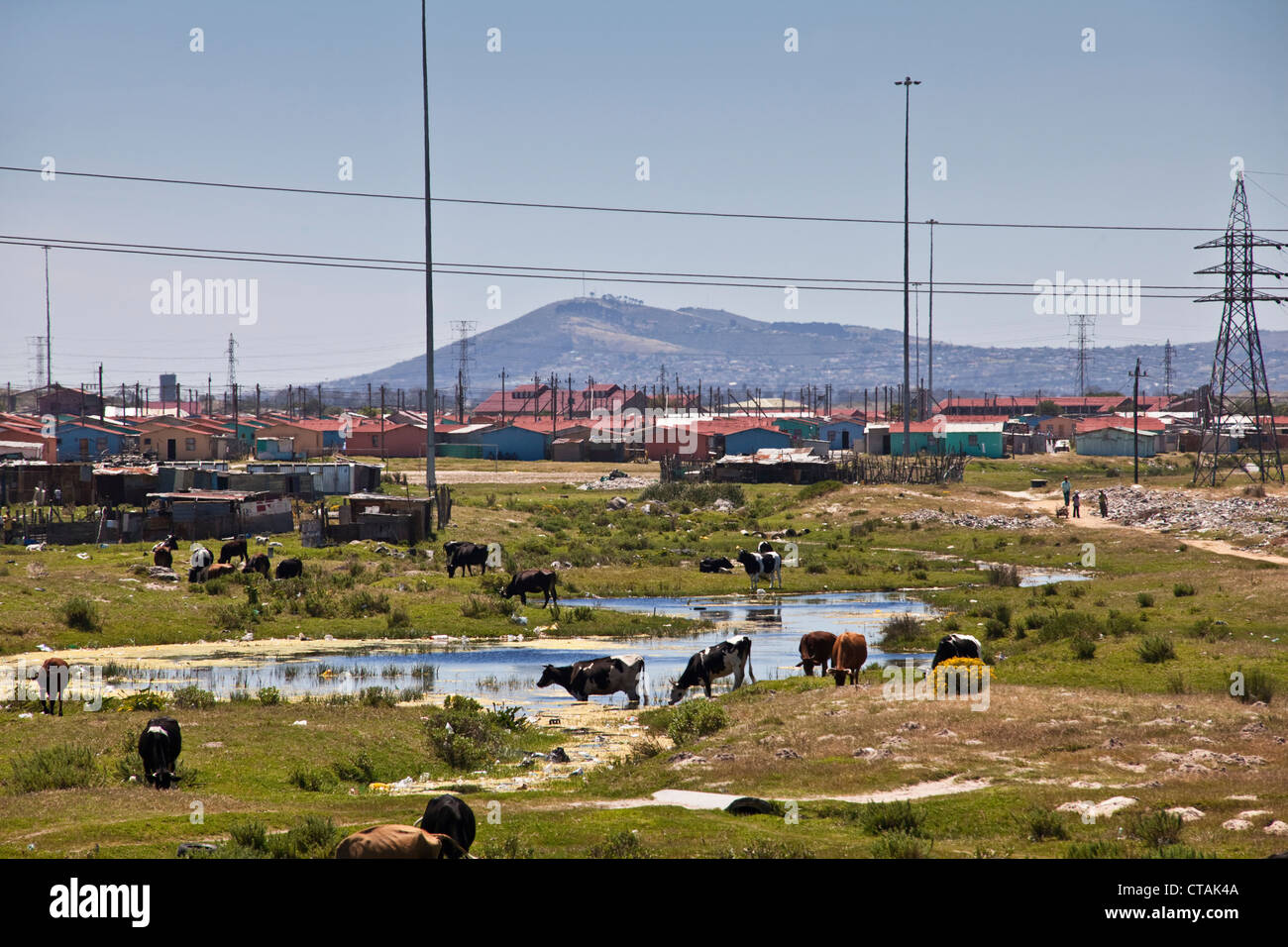 Township Khayelitsha, Kapstadt, Western Cape, Südafrika Stockfoto