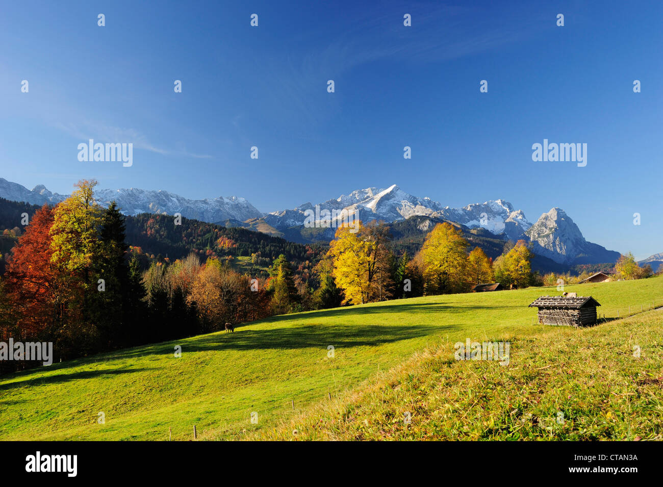 Wettersteingebirge mit Alpspitze, Zugspitze und Waxensteine, Wiese mit Bauernhof Schuppen im Vordergrund, Garmisch-Partenkirchen, Wetter Stockfoto