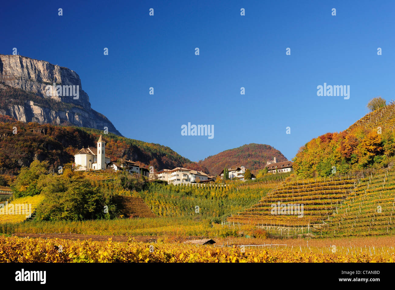 Weinberge in herbstlichen Farben mit Kirche und Felswand im Hintergrund, Eppan, Südtirol, Italien, Europa Stockfoto