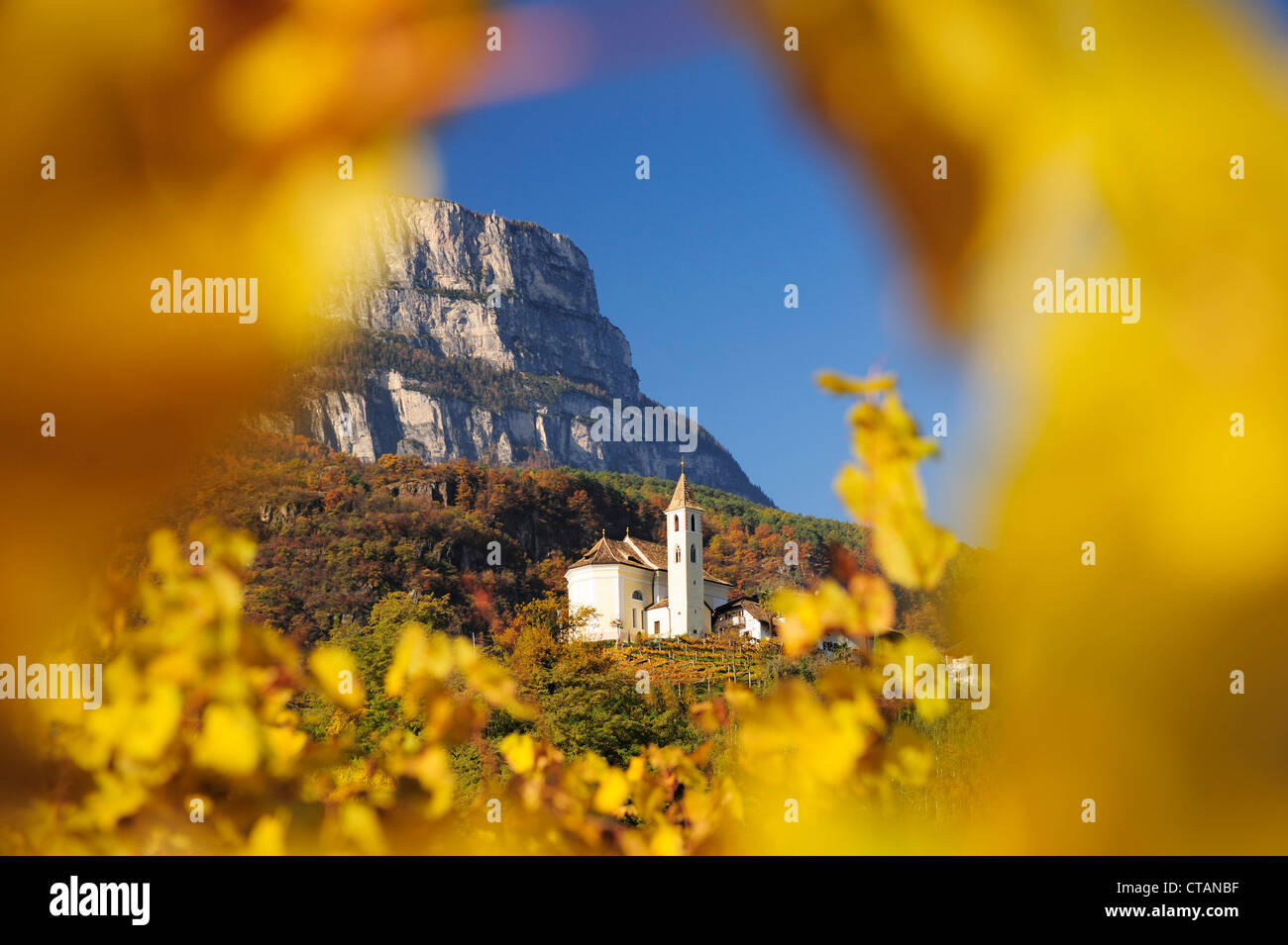 Weinberge in herbstlichen Farben mit Kirche und Felswand im Hintergrund, Eppan, Südtirol, Italien, Europa Stockfoto