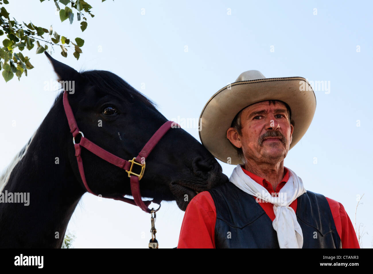 Cowboy mit Pferd, Medora, North Dakota, USA Stockfoto