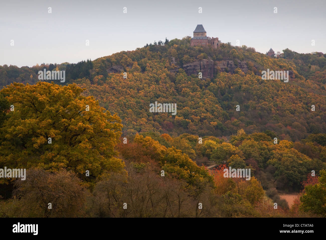 Blick auf die Burg Nideggen, Nationalpark Eifel, Nordrhein-Westfalen, Deutschland, Europa Stockfoto