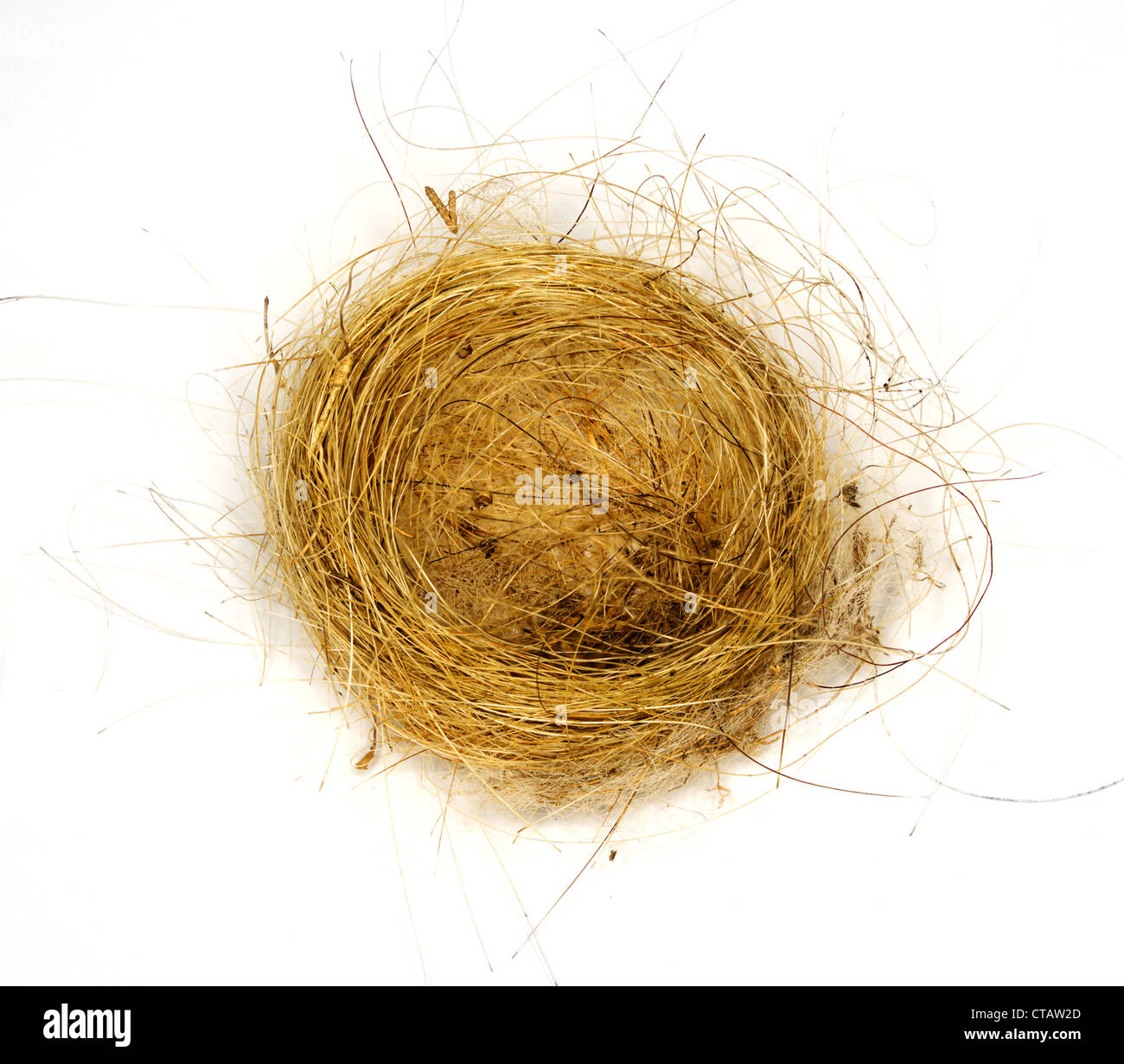 Vogelnest aus gewebten Rasen Haaren und Federn isoliert gegen weiß gemacht Stockfoto