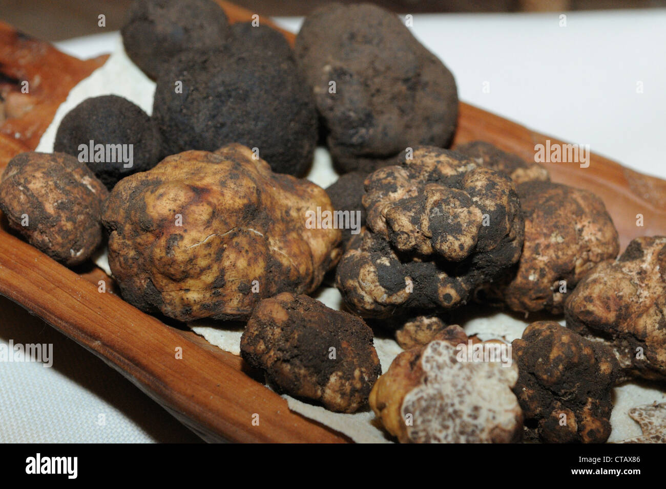 Ein Korb voll von schwarzen und weißen Trüffeln Stockfoto