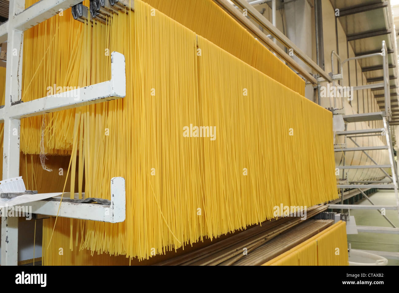 Spaghetti zum Trocknen gehängt Stockfoto