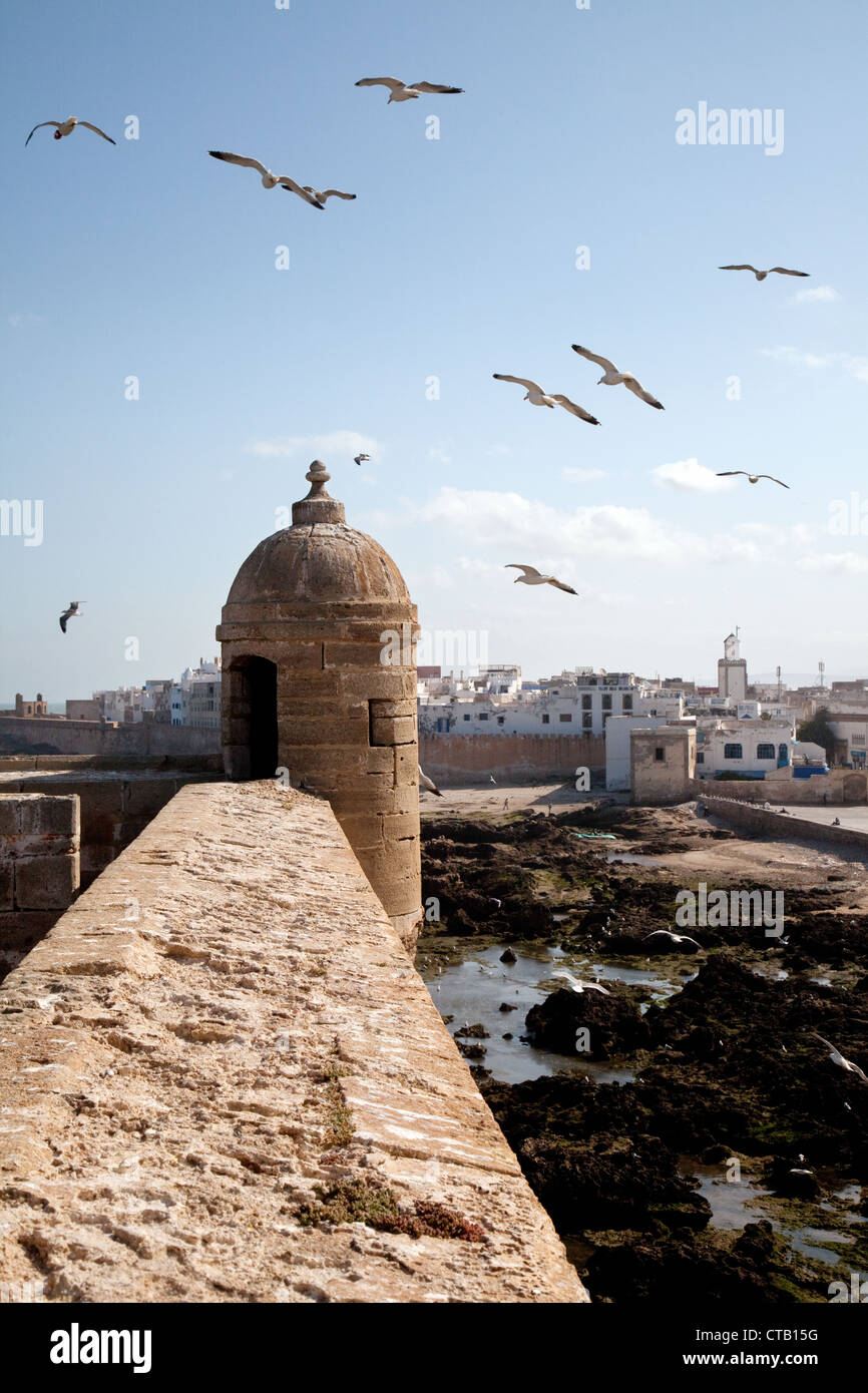 Stadtmauer von der Skala in Essaouira, Marokko Afrika Stockfoto