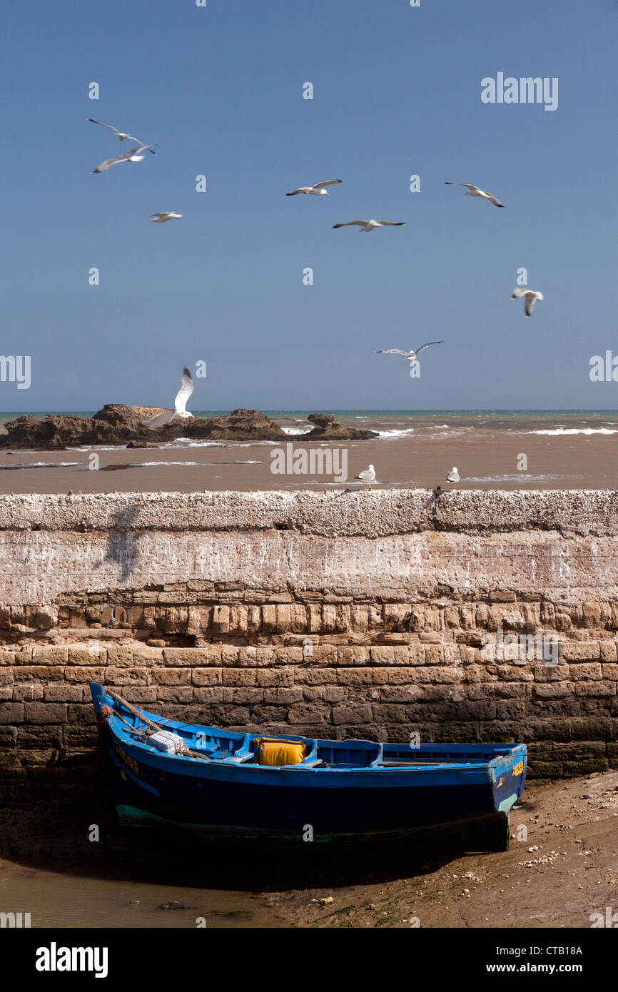 Möwen und einem traditionellen blauen Fischerboot im Hafen, Essaouira, Marokko Afrika Stockfoto