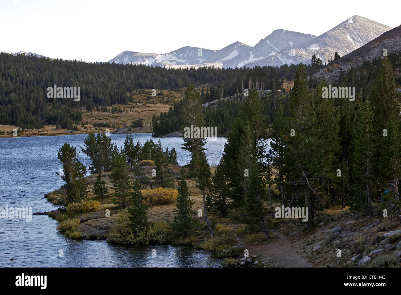 See in der Nähe der Tioga Pass Road, Yosemite Nationalpark, Kalifornien, USA Stockfoto