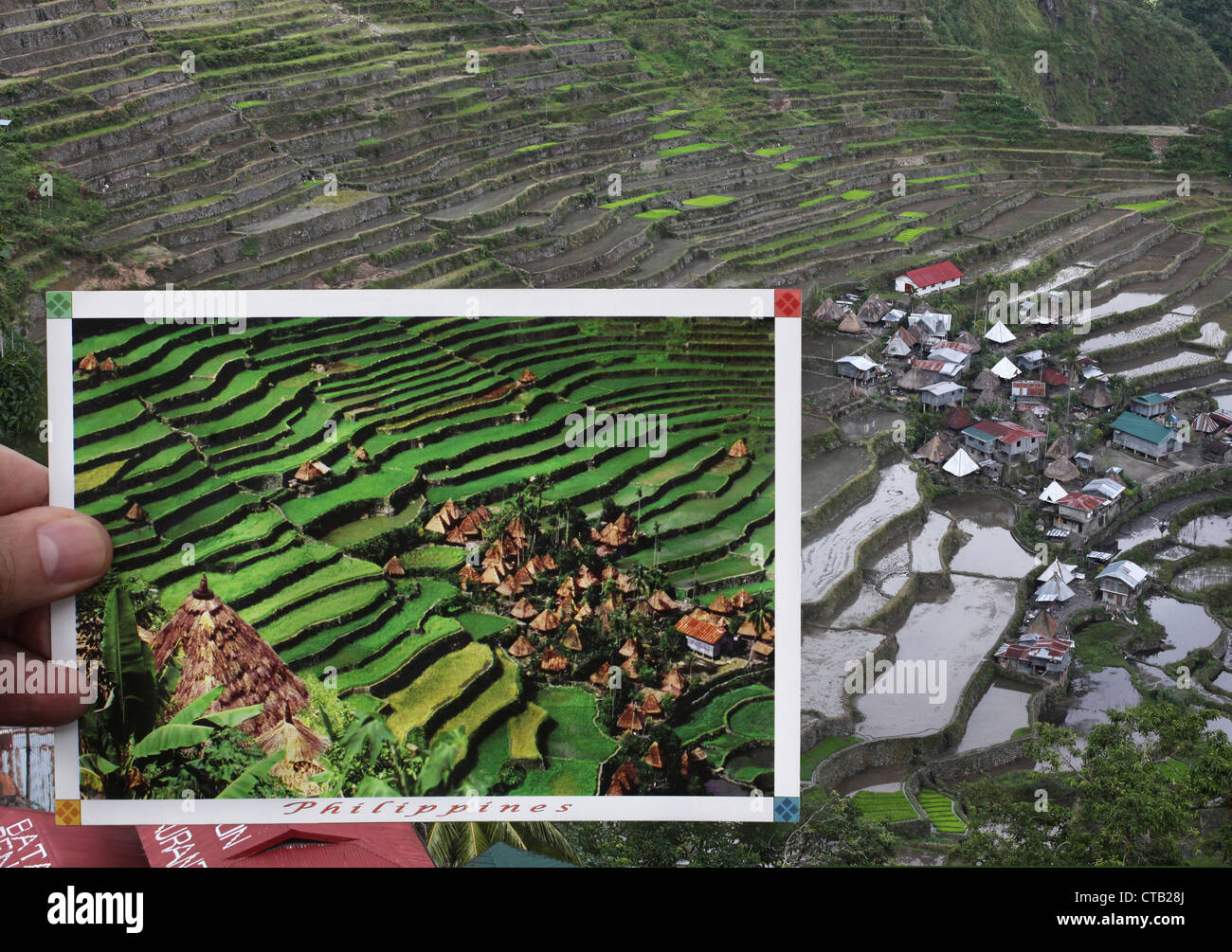 Eine Person zeigt eine Postkarte mit dem Dorf Batad 1990 ist UNESCO-Weltkulturerbe mit dem echten Dorf in der ba Stockfoto