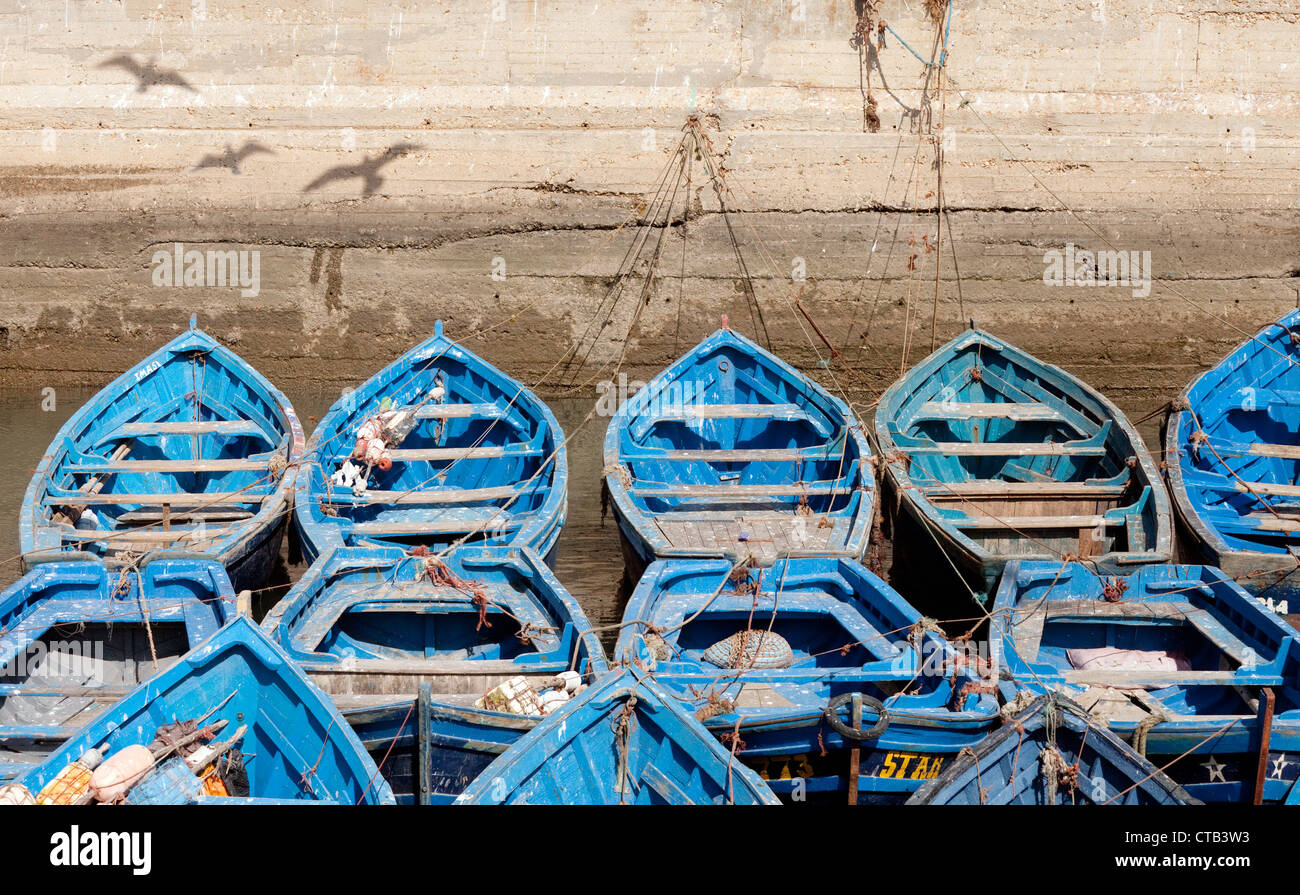 Vertäut Angelboote/Fischerboote im Hafen, Schatten von Möwen an der Wand, Essaouira Marokko Afrika Stockfoto