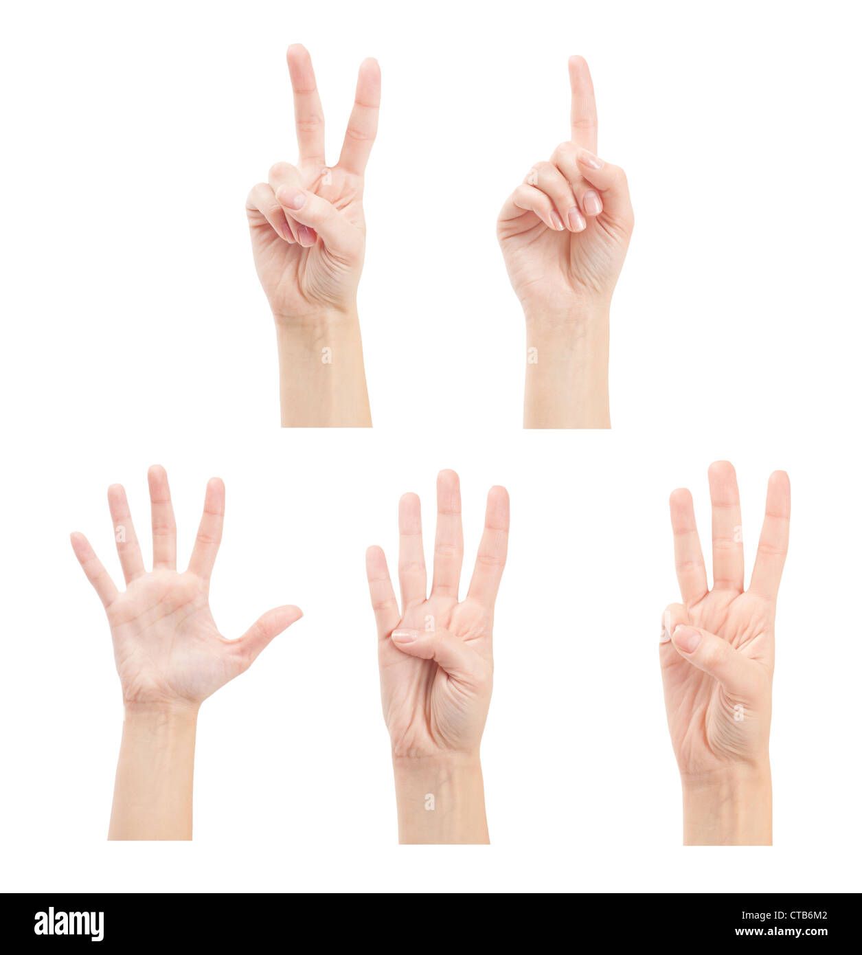 Zählen Frau Hände (1 bis 5) isoliert auf weißem Hintergrund Stockfoto