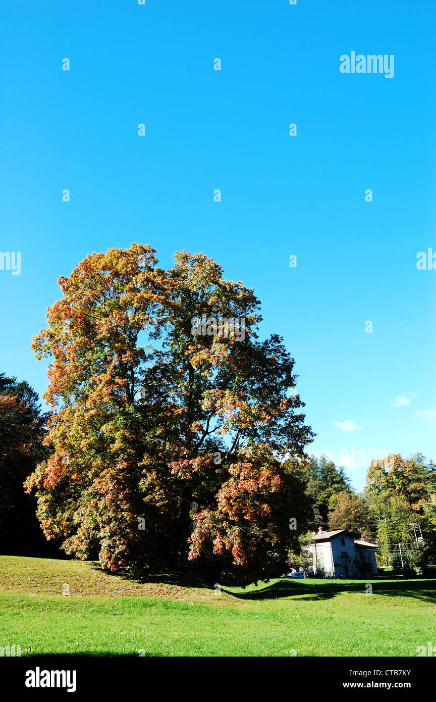Landschaft im Herbst Saison Stockfoto